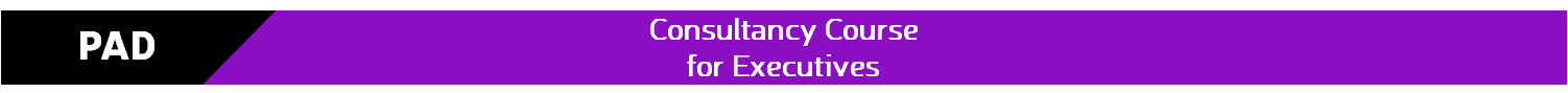 Consultancy Course for Executives – PAD
