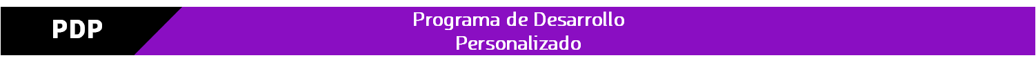 Programa de Desarrollo Personalizado - PDP